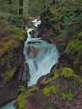 Photo of Avalanche Creek in Glacier National Park