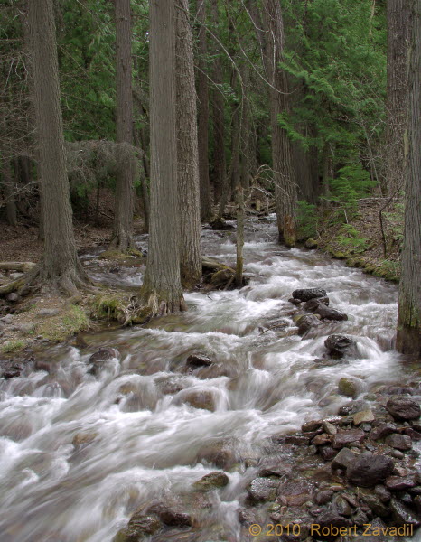 Photo of Jackson Creek in Glacier National Park