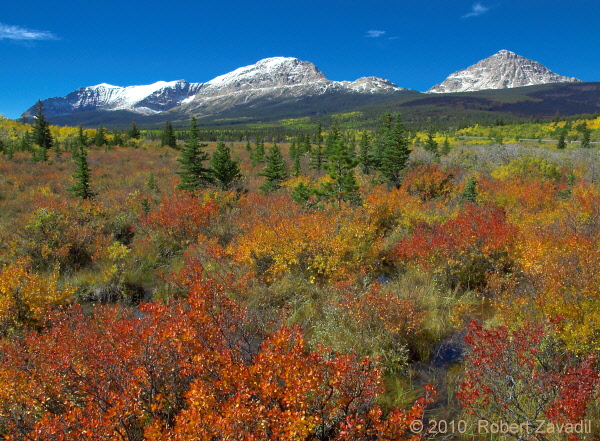 Changing Seasons in Glacier National Park