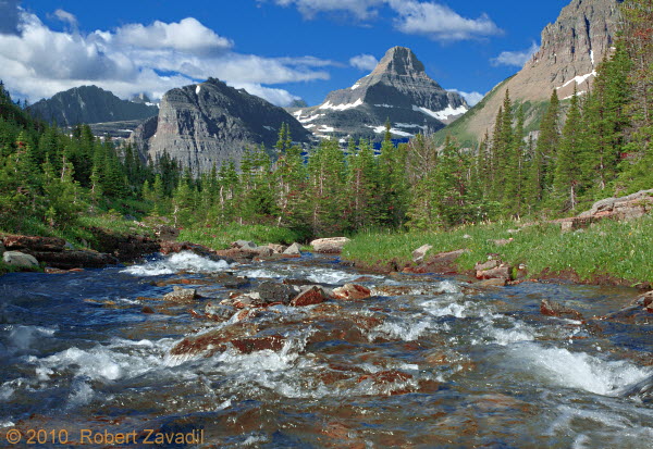 Photo of Mountain Summer in Glacier National Park