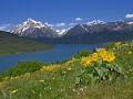Overlooking Two Medicine, Glacier National Park Photo of Overlooking Two Medicine in Glacier National Park