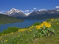 Photo of Overlooking Two Medicine in Glacier National Park