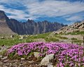 Piegan Pass, Glacier National Park Photo of Piegan Pass in Glacier National Park