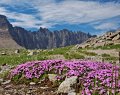 Photo of Piegan Pass in Glacier National Park