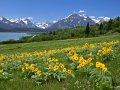 St Mary Spring, Glacier National Park Photo of St Mary Spring in Glacier National Park