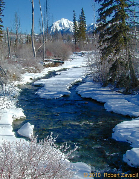 Photo of Bowman Creek in Glacier National Park