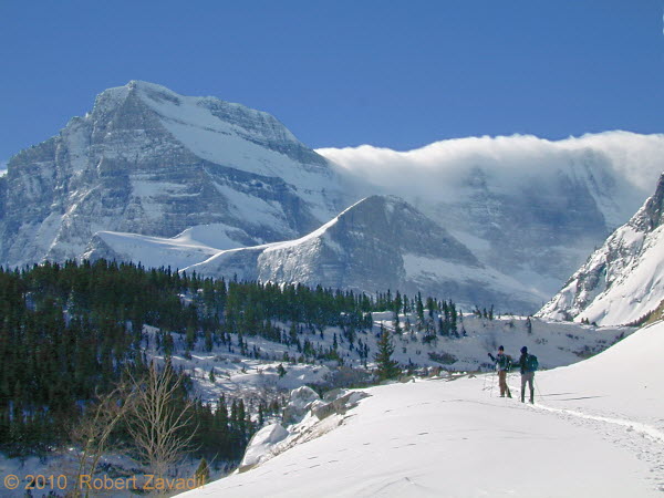Photo of skiers in Glacier National Park