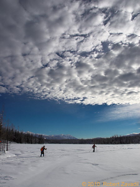 Photo of Skiers in Glacier National Park