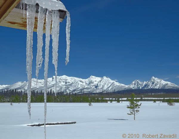 Winter in the North Fork in Glacier National Park