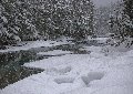 Photo of Winter on McDonald Creek in Glacier National Park